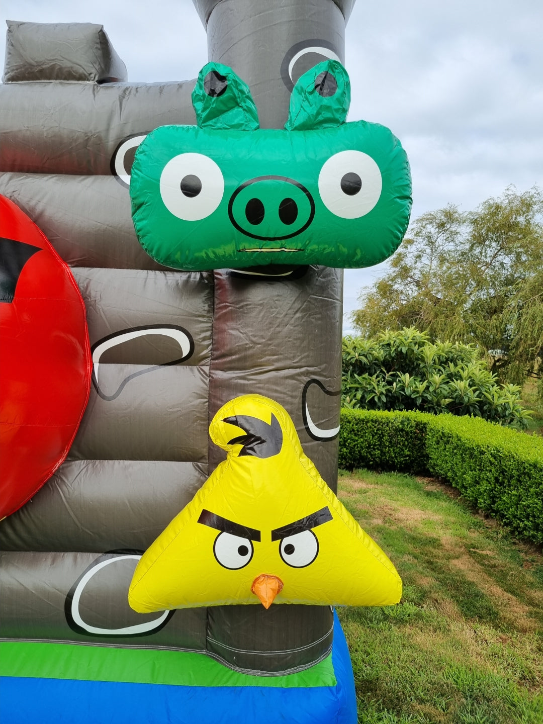 Angry birds insitu image 6